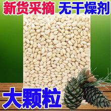 2024��؛���w�����������������l���rԭζ�Թ���ʳ��ɢ�b���ذ��]