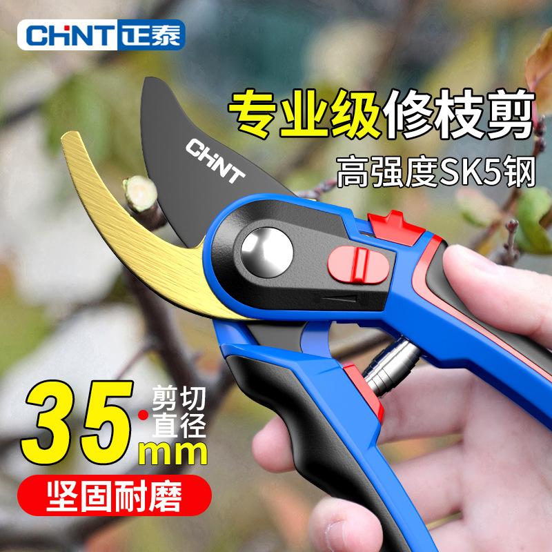 正泰修枝剪园艺剪树枝专用剪刀花艺修剪花卉剪花剪子果树花木剪子