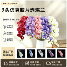 ���l�����m���滨�羳3D��ӡ�ָмٻ���Y��ˇ�Ҿ��b�����