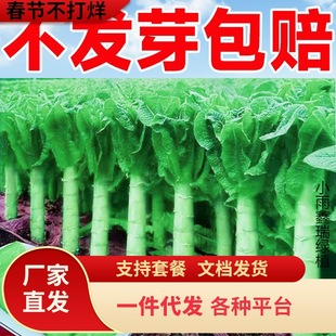 һ�����l�n�S�N���ͺ��C�S��Ƥ�tƤ�n�S�N�����������n�ķN����S