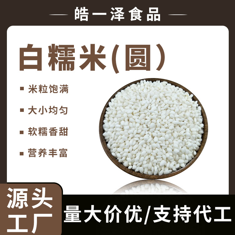 低温烘焙圆糯米散装包粽子糕点原料江米糯米农家自产新粮圆白糯米