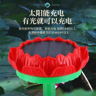 ���������׷���̫����Ԅӳ�늲��řC������푳���C����������