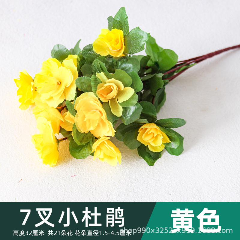 Amarillo-7-rama Cuco