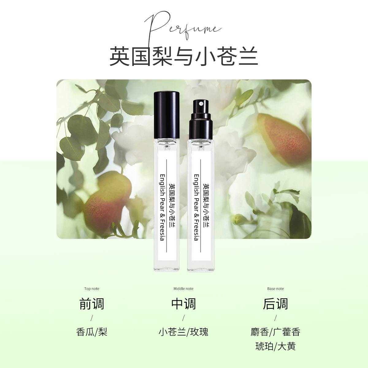 잉글리시 페어와 프리지아