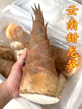 ��S���S���r������r�߲� ������ˮ����S�r�۴��S�F��Ұ��