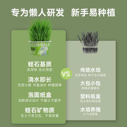 Lazy Cat Grass Canned Head Hydroponic Soilless Dehairing Ball Aids Digestion Snack Noodle Cat Grass Pot Plant Pet Supplies Mini