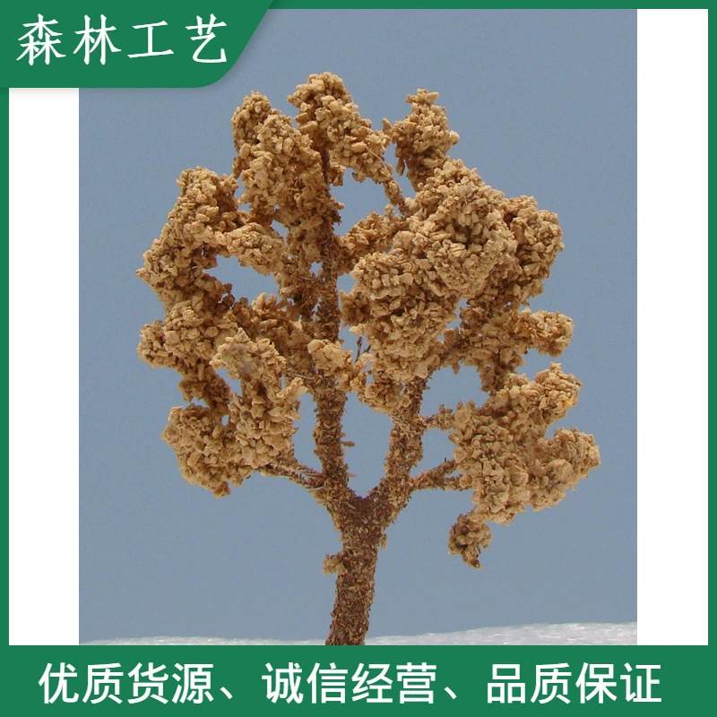 Модель здания/Модель поезда/Модель стола песка/Студент Игрушка Модель Дерево/Деревянный порошок Дерево/Wood -5