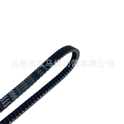 816 22 Southern Feige – Belt