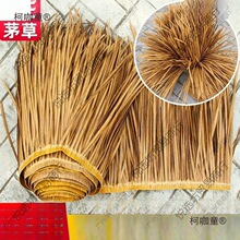 ����ȼ��������X�Ͻ����쵾��é�������b�ë�ݷ�������߉�����