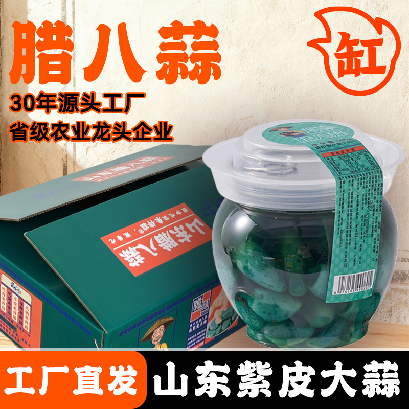 酱倒缸餐饮流通淄博特色翡翠腊八蒜500g瓶装固形物≥45%酱菜