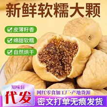 ���l�o�������½����|�S�wͪ�ǰ��ӹ��ɴ��b ���l���w���o������