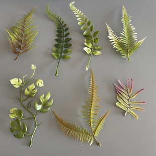 ������滨��ֲ��Gֲ����辰�b�ˮ�ݰ��Ʒdiy�S�����l����