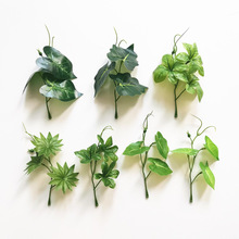 ���Sֱ�����Ϸ���Gֲ����ٻ�����G�}���R�~ֲ�һ�����l�b�