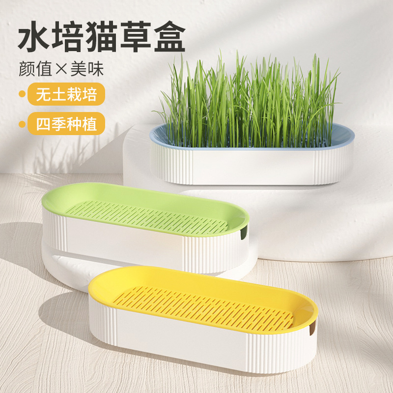 Cat grass transfronterizo nuevo tipo caja hidropónica cat snack set de semillas de cat grass separación sin suelo hidroponía cat grass al por mayor