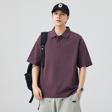 �й����b 2026�ļ����b����POLO���r�Ќ��ɼ�ɫ���I�������°ٴ�