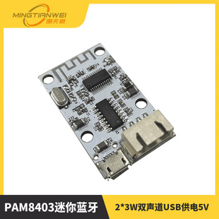 Pam8403 Mini Bluetooth Digital Power Amplifier Board Audio Digital Power Amplifier Module 2*3W Two-Channel USB Power Supply 5V