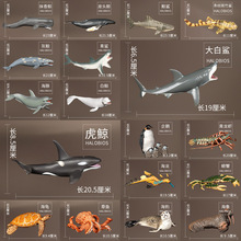 ���ĺ������纣���������Ұ������ģ�����ܛ�z���~�������Z����