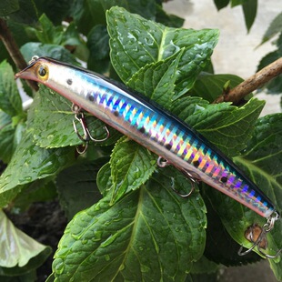 �����h�Ѳ����Z16g120mm���D��ͣ���hͶ��ͣ���Z�~�h�hͶ��ˮ���Z