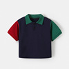 Summer polo, set, summer clothing, children's T-shirt, with short sleeve