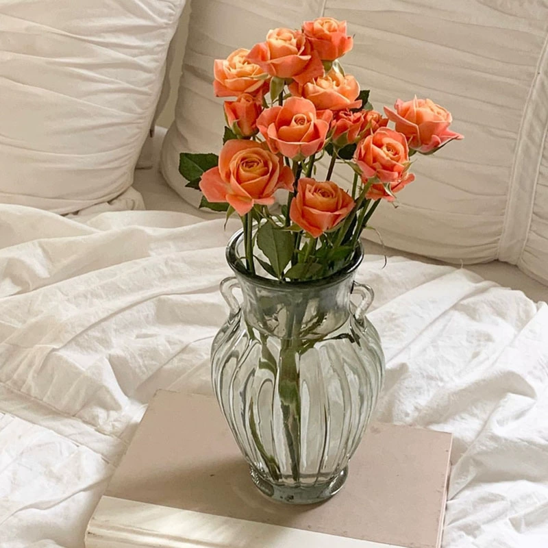 Оптовая продажа садоводство креативное бинауральное стекло ваза для подкачки реквизита растения водная ваза для гостиной букет цветов украшения