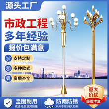定制中华灯路灯玉兰灯八叉九火公园广场led中华灯户外景观灯定制