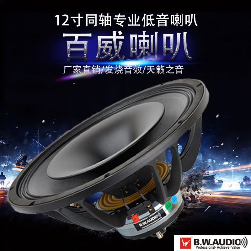 12寸同轴专业喇叭 广州百威 供应舞台防水音箱喇叭 欢迎选购