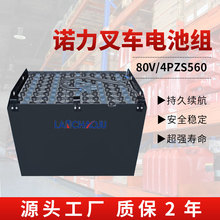 �Z��FE4P30/FE4P30��AC������ʽ늄Ӳ�܇�ƿ4PZS 80V560AH��늳�