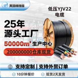 工厂设备铜芯电缆线 紫铜线电力工程 低压橡皮套管电缆YJV22 3*10