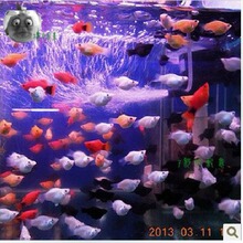 ���� �yƤ�� ��Ƥ�� ��Ƥ���~ ����ɫƤ�� �Ꭷ�~ �^�p�~