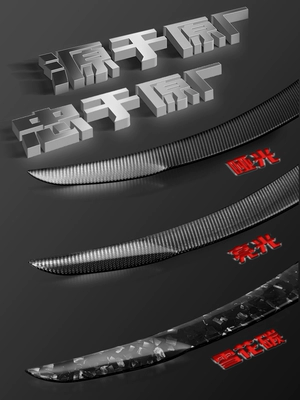 Motorcycle tail Fiber Dry Carbon Spoiler Modified