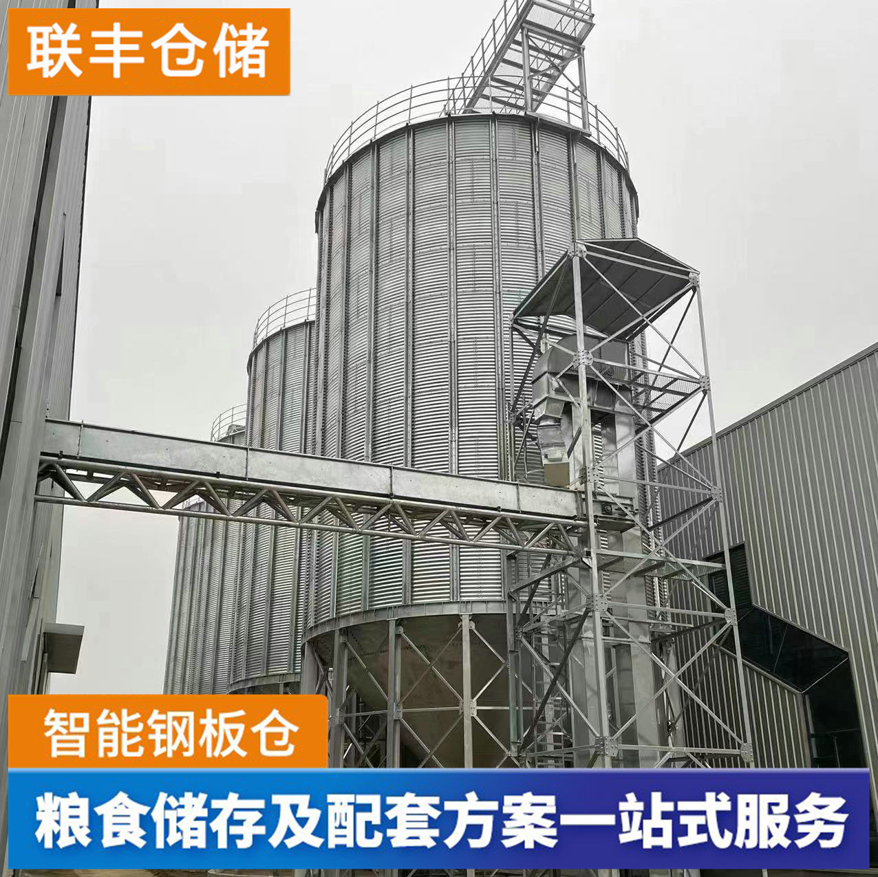 新品现货500吨钢锥底粮仓 装配式散粮立筒仓 饲料厂用玉米钢板仓