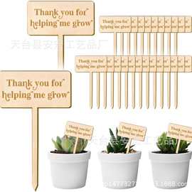 新款木质植物插牌DIY多肉花园种子盆栽木插件感恩节木装饰木艺