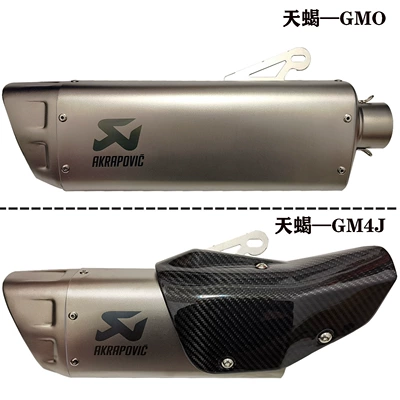 Motorcycle 51mm diameter GM4J R77 full carbon fiber sports car sound exhaust pipe AR SC street exhaust