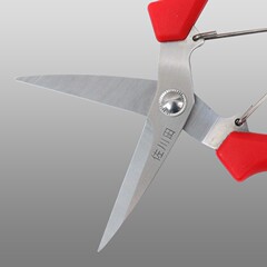 Taiwan Sakawada 910 fruit thinning scissors, fruit picking, grape sawtooth blades, fruit picking, pepper, stainless steel scissors