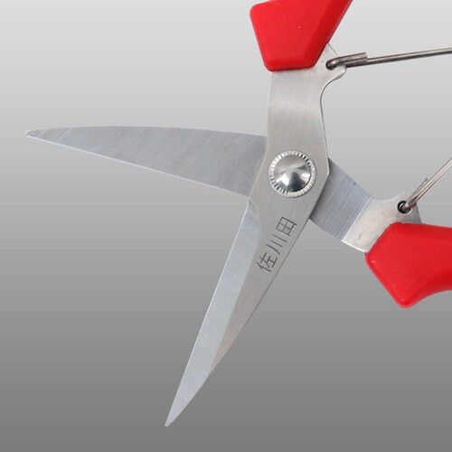 Taiwan Sakawada 910 fruit thinning scissors, fruit picking, grape sawtooth blades, fruit picking, pepper, stainless steel scissors