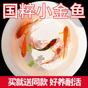 �^�p�~���~������B�������B�ͻ��ԁ�ˮ�\������һ���ļ���ˮ�~