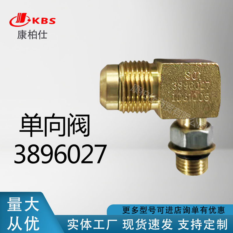 Suitable for Cummins Automotive Diesel Fuel Engine Parts/Generator Set Parts Valve 3896027 Wholesale