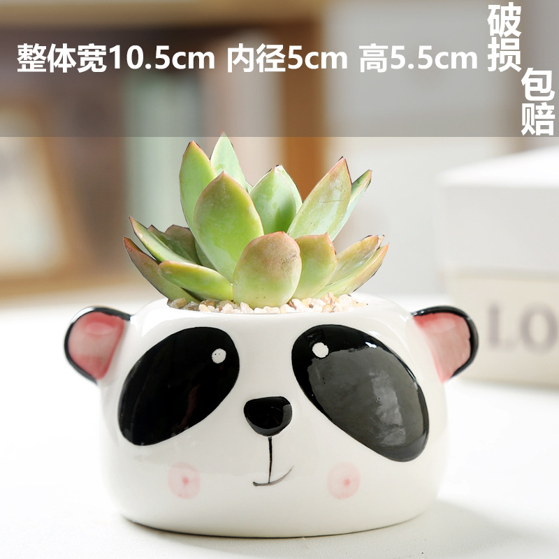Macetas de cerámica para suculentas con diseño de animales de dibujos animados, pequeño tamaño, para estante de flores en casa, suministro al por mayor