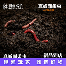 �Z�~����26�¿���l�x���Ƿ������ܛ�D�|�~����x���������l�x