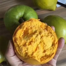 Ŵ���u�������r���S��5����]���Ϯa����ˮ���ЋD�Ꭷ��������