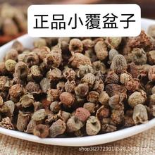 ĴҰСɽ݃ɹݾșݲrȻɟo