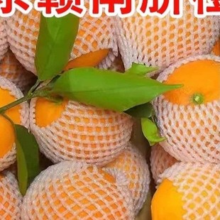 �����ĳ����rˮ�����ӽ���Ě�ȑ����ЋDˮ�����r�M��Ě��ե֭��