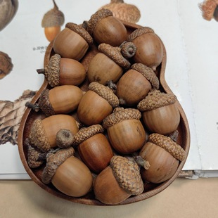 �t�Ι� ������������N�� ֲ��˱� ��Ȼ������ �b[���ɻ�