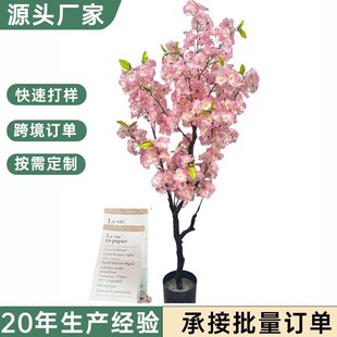 �羳�����b����ѻ��������̈��҃ș����b��S�ٙѻ����辰