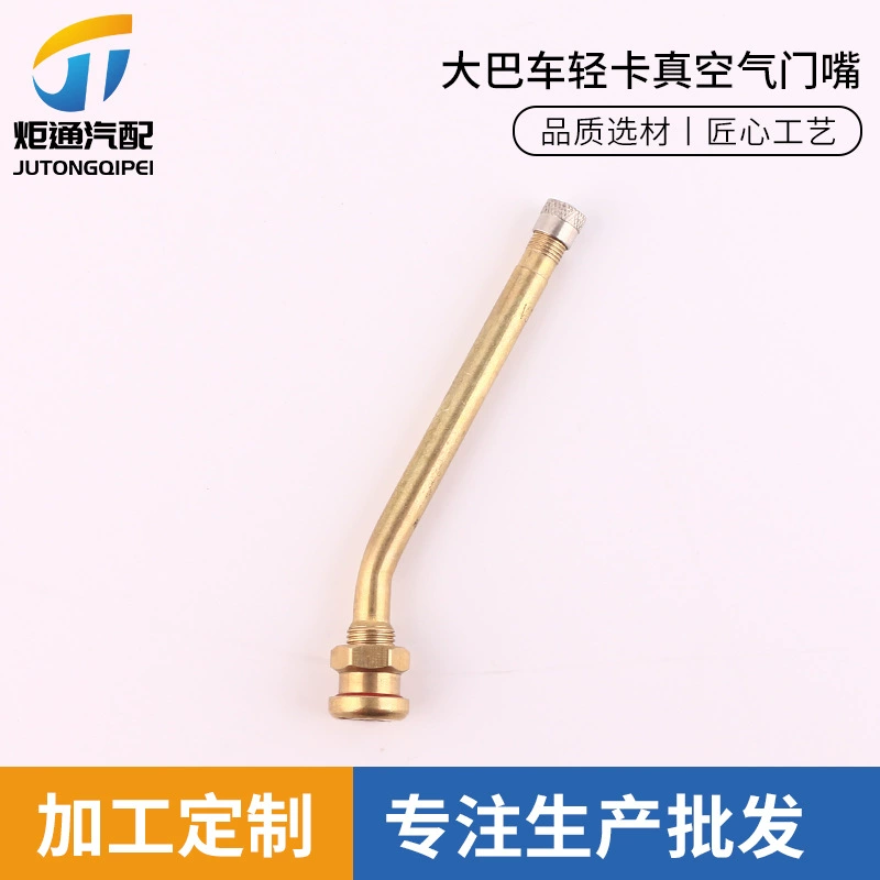 V3.20.6 автомобильные шины клапан сердечника автобус легкий грузовик вакуумный клапан все медные автомобильные легкие грузовики клапан