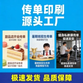 宣传画册;说明书;宣传单/海报