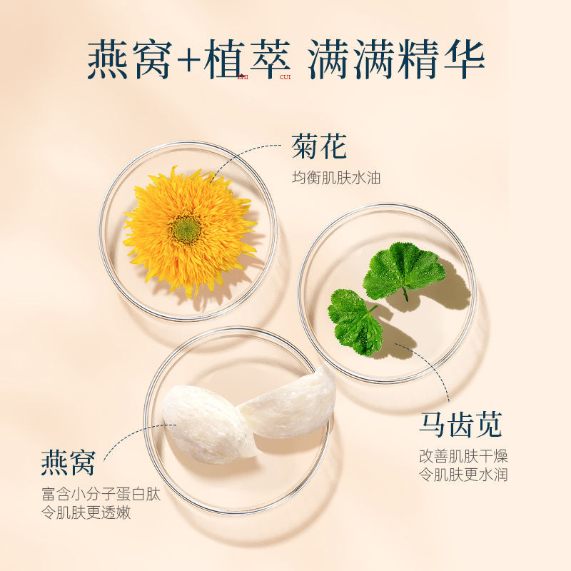燕窝套盒十件套护肤品套装补水保湿提亮肤色润肤水乳面霜精华液女