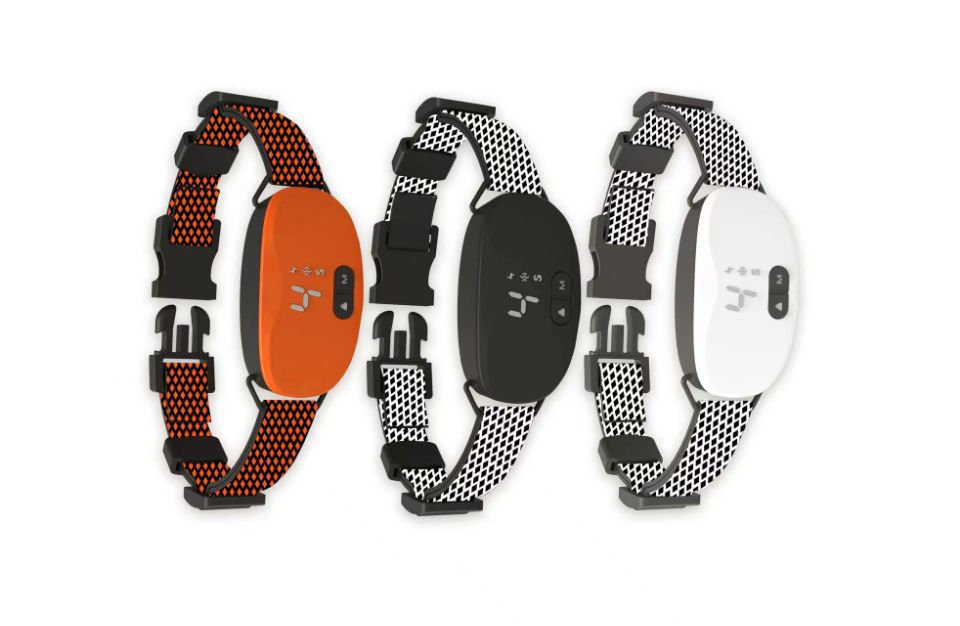 QQ图片20220915161034