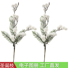 �羳��������ѷʥ����װ��Ʒ��ѩ����ʥ���������ʥ��֦