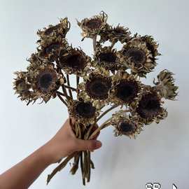 感复古真花干花暗黑系向日葵花束民宿咖啡厅家居插花装饰摆设